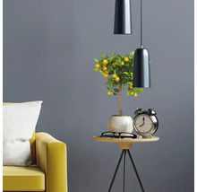 Intérieur décoratif avec citronnier, lampe de table, table et canapé.