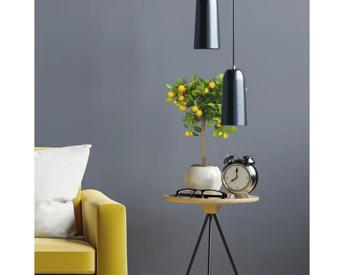Intérieur décoratif avec citronnier, lampe de table, table et canapé.