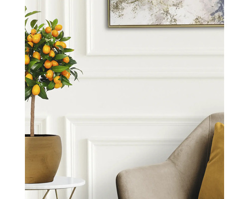 Kumquatier artificiel en pot comme décoration