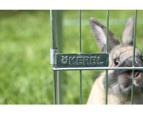 Lapin dans une cage en fil de fer avec le logo Kerbl
