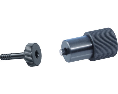 Deux vis moletées en métal