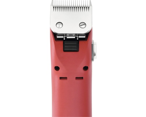 Tondeuse à cheveux avec jeu de peignes