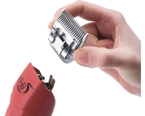 Une main tient une tête de rasoir interchangeable pour une tondeuse pour animaux.