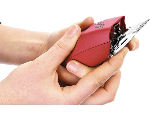 Personne tenant une tondeuse à cheveux.