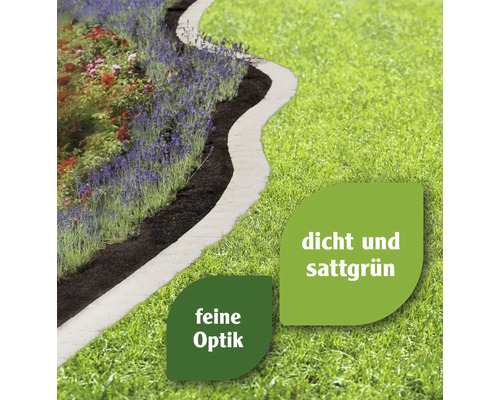 Gartenweg mit Rasen und Blumenbeet