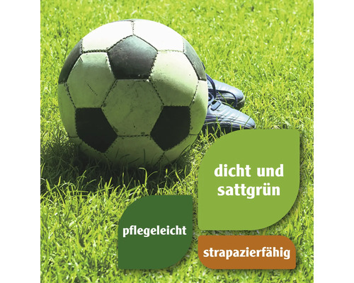 Fußball und Fußballschuhe auf Rasen mit den Hinweisen dicht und sattgrün, pflegeleicht und strapazierfähig