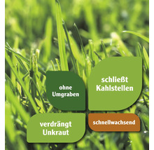 Informationen zum Rasen: kein Umgraben, schließt Kahlstellen, verdrängt Unkraut, schnellwachsend