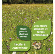 Mélange de fleurs sauvages avec des brins d'herbe FloraSelf 1,2 kg pour 50 m²