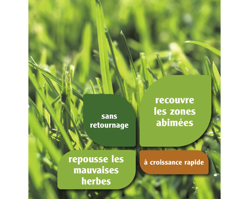 Présentation de gazon avec des informations sur la réparation, la croissance rapide et la lutte contre les mauvaises herbes