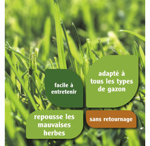 Caractéristiques des graines de gazon : facile d’entretien, adapté à tous les types de gazon, repousse les mauvaises herbes, sans retournement.