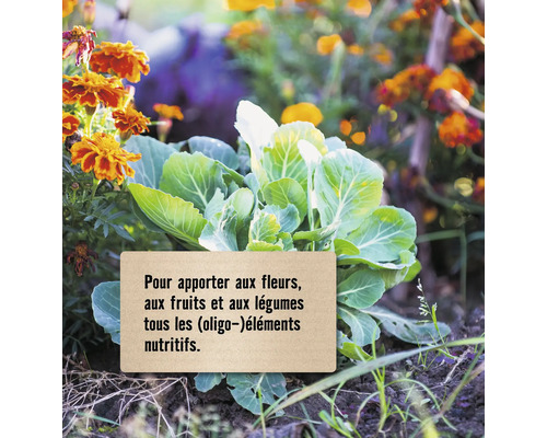 Potager avec pancarte : Pour apporter aux fleurs, aux fruits et aux légumes tous les éléments nutritifs