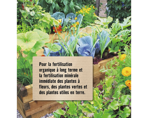 Jardinière surélevée avec légumes et fleurs pour une fertilisation organique à long terme et une fertilisation minérale immédiate