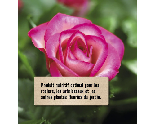 Produit nutritif optimal pour les rosiers, les arbustes et les autres plantes à fleurs du jardin.