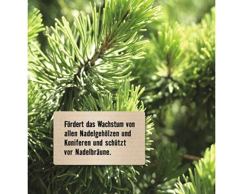 Hinweisschild vor Nadelbaum, das Wachstum fördert und vor Nadelbräune schützt