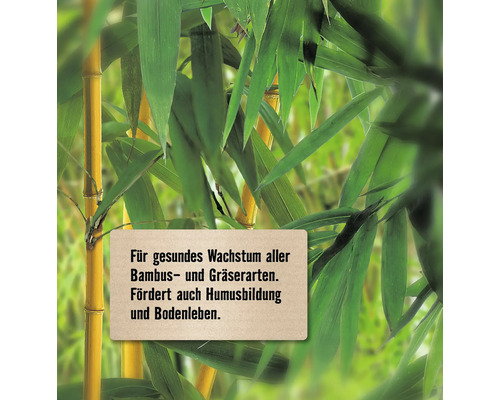 Hinweis für gesundes Wachstum von Bambus- und Grasarten
