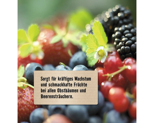 Früchte wie Erdbeeren, Blaubeeren und Brombeeren mit einem Hinweisschild für kräftiges Wachstum und schmackhafte Früchte bei allen Obstbäumen und Beerensträuchern