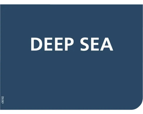 Deep Sea Schriftzug