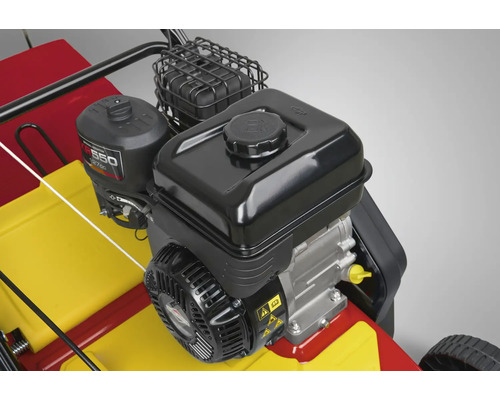 Motor einer Vertikutiermaschine