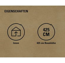 Eigenschaften: Geeignet für Innenräume, 425 Zentimeter Baumhöhe