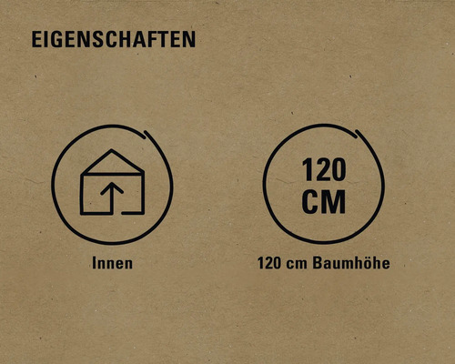Eigenschaften: Innenbereich, 120 cm Baumhöhe