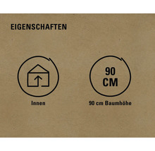 Eigenschaften: geeignet für Innenräume, 90 Zentimeter Baumhöhe