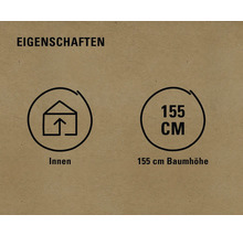 Geeignet für den Innenbereich, Baumhöhe 155 Zentimeter