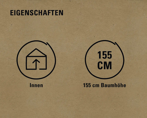 Geeignet für den Innenbereich, Baumhöhe 155 Zentimeter