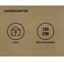 Eigenschaften: Innenraum geeignet, Baumhöhe 185 cm