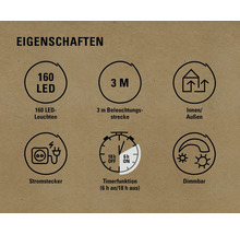 Eigenschaften: 160 LEDs, 3 Meter Zuleitung, für Innen und Aussen geeignet, Stromstecker, Timerfunktion, dimmbar