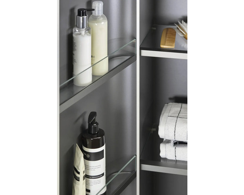 Vue détaillée d''une armoire de salle de bains avec des étagères en verre et divers articles de toilette tels que des serviettes, des brosses et des produits de soins.