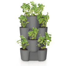 Colonne de plantation avec plants de pommes de terre