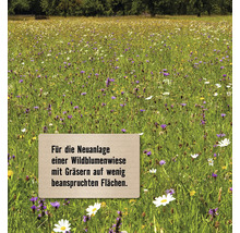 Wildblumenmischung mit Gräsern FloraSelf 1,2 kg für 50 m²