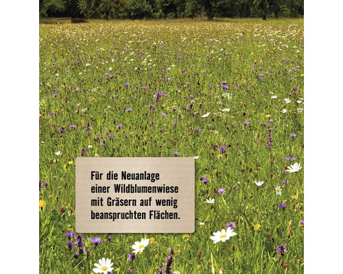 Wildblumenwiese mit Gräsern für wenig beanspruchte Flächen