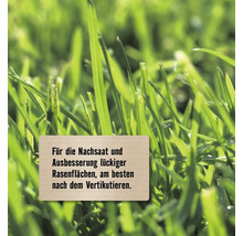 Information zur Rasennachsaat und Ausbesserung von Rasenflächen
