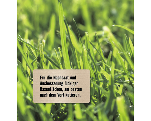 Information zur Rasennachsaat und Rasenverbesserung