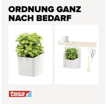Plante en pot pour rangement mural