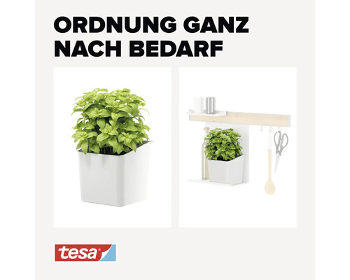 Plante en pot pour rangement mural