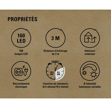 Propriétés : 160 LED, distance d’éclairage de 3 m, intérieur/extérieur, raccordement électrique, fonction de minuterie (6 h allumé/18 h éteint), intensité lumineuse variable