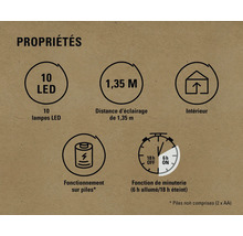 Propriétés : 10 LED, distance d''éclairage de 1,35 mètre, convient pour l''intérieur, fonctionne sur piles, fonction de minuterie (6 heures allumées, 18 heures éteintes)