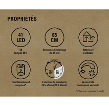 Propriétés : 41 LED, distance de 65 cm, intérieur/extérieur, fonctionne sur piles, fonction de minuterie, intensité lumineuse variable