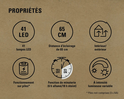 Propriétés : 41 LED, distance de 65 cm, intérieur/extérieur, fonctionne sur piles, fonction de minuterie, intensité lumineuse variable