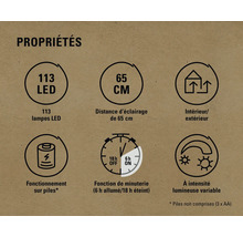Caractéristiques du produit : 113 LED, distance d’éclairage de 65 centimètres, convient aux espaces intérieurs et extérieurs, fonctionne sur piles, fonction de minuterie et intensité lumineuse variable