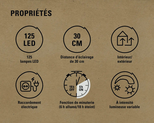Propriétés: 125 LED, distance de 30 centimètres, intérieur et extérieur, raccordement électrique, fonction de minuterie (6 heures allumée, 18 heures éteinte), intensité lumineuse variable