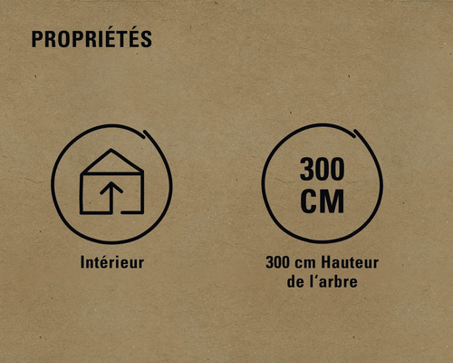 Propriétés : intérieur, hauteur de l’arbre de 300 centimètres