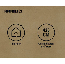 Propriétés : Symbole d’intérieur et hauteur d’arbre de 425 centimètres