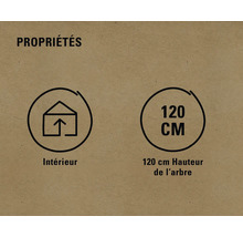 Symbole pour une utilisation en intérieur et longueur de l''arbre de 120 centimètres