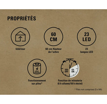 Caractéristiques: Convient pour l''intérieur, 60 centimètres de hauteur, 23 LEDs, Fonctionnement sur piles, Fonction de minuterie six heures allumée et 18 heures éteinte