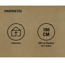 Symbole pour l''intérieur et hauteur de l''arbre 180 cm