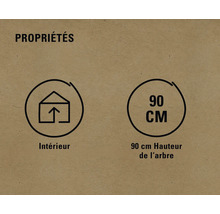 Convient pour une utilisation en intérieur. Hauteur de l''arbre 90 centimètres.