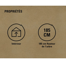 Symbole pour usage intérieur et longueur de l''arbre 185 centimètres